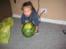 Gregory & the Watermelon